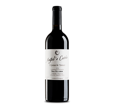 [232] VINO ANGELS CUVEE RIPASSO DE TANNAT 750 ML