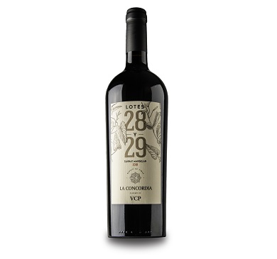 [3644] VINO CAMPOTINTO LOTE 28-29 GRAN RESERVA TANNAT MARSELAN 750 ML