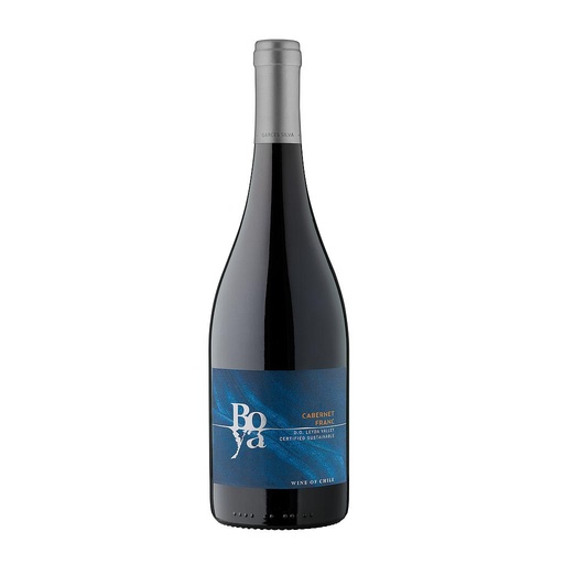 [1819] VINO GARCES SILVA BOYA CABERNET FRANC 2022 750 ML