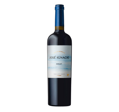 [2743] VINO JOSE IGNACIO MERLOT 750 ML