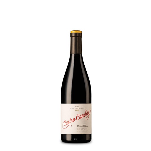 [34667] VINO RAUL PEREZ CASTRO CANDAZ 2021 750 ML