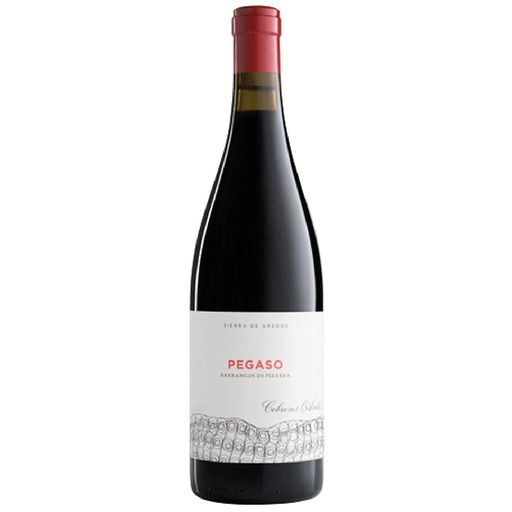 [32302] VINO TELMO RODRIGUEZ PEGASO PIZARRA 2020 750 ML